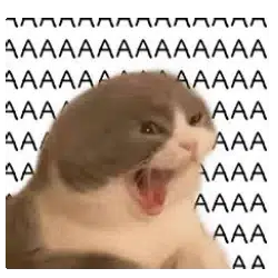 shoutcat