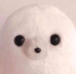 ISHI