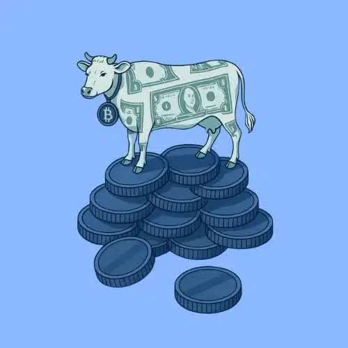 CashCow — CashCow Solana token traded by KOLs