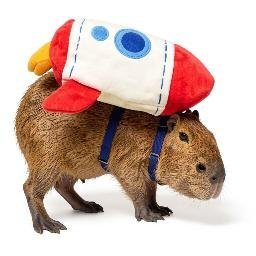 ROCKET