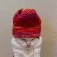 beanie