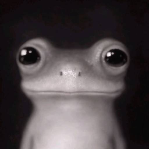 prog