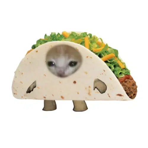 TACOCAT logo