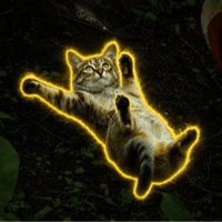 滑る猫 logo