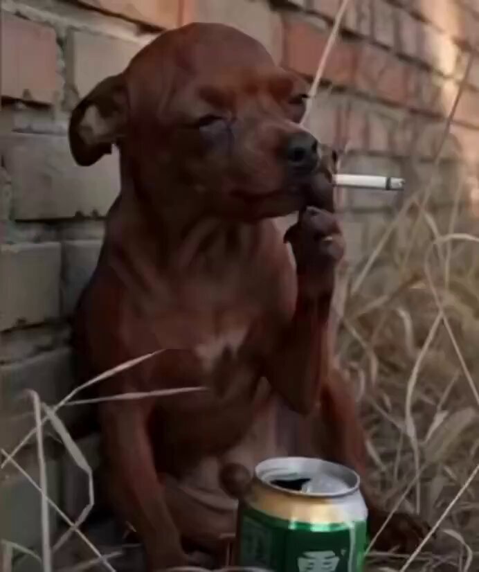 dip