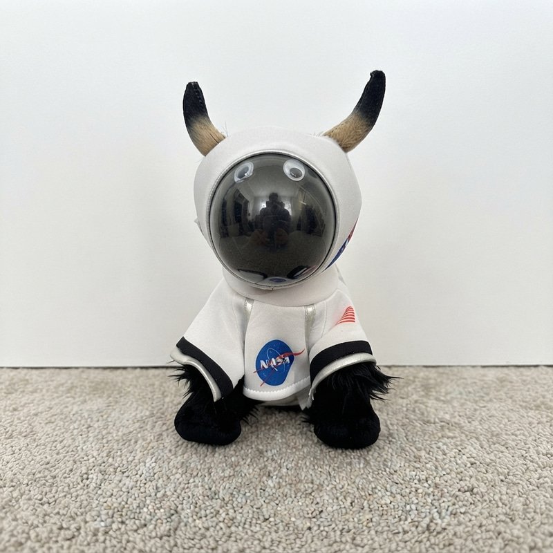 MOONBULL