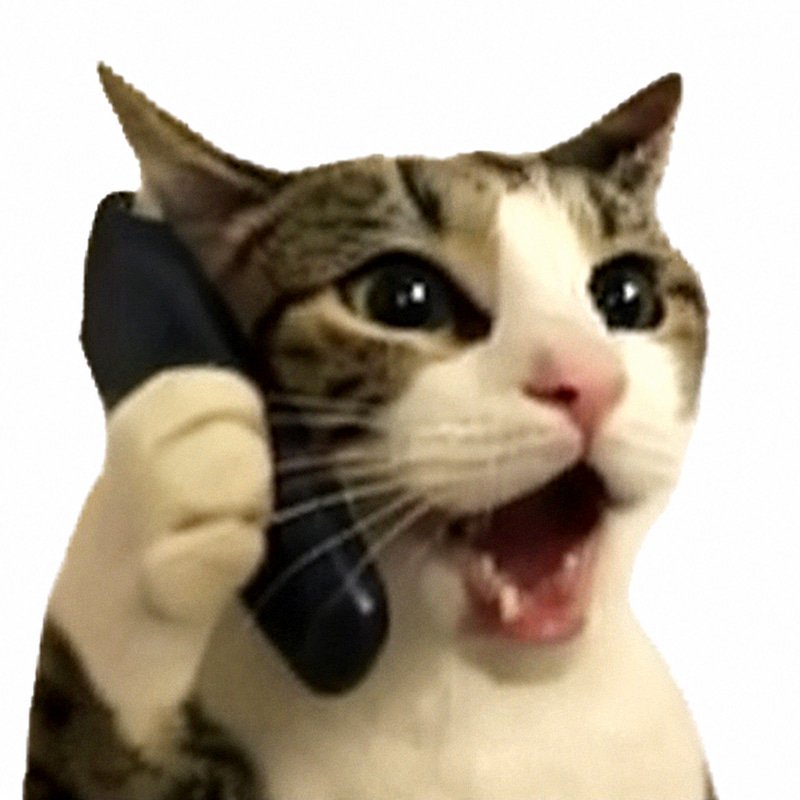 HELLO?