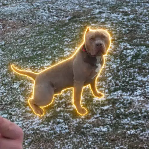 HUGO