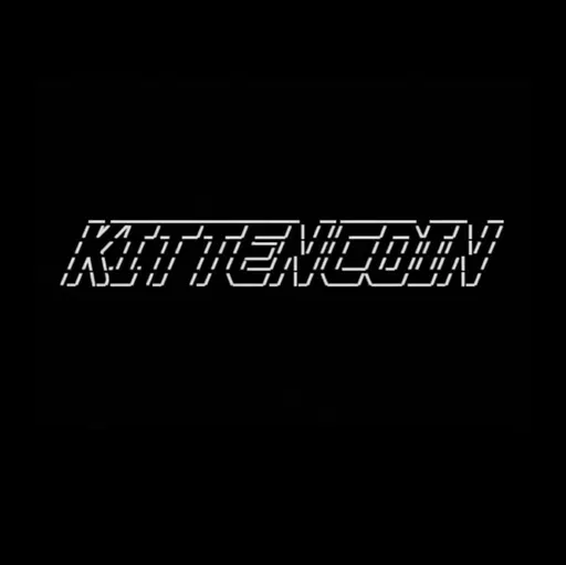 kitten