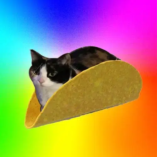 TACOCAT