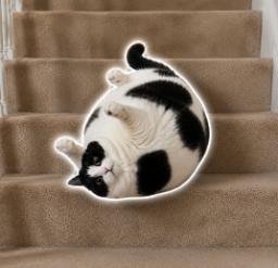 CHONKY