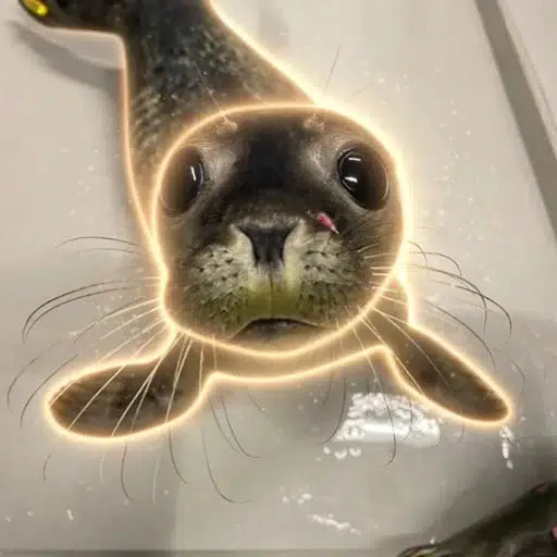 Dirk