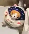 CORGI