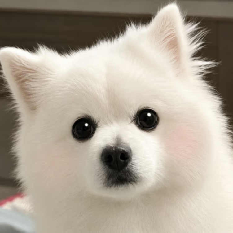 FLUF logo