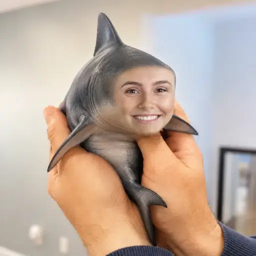 Lulu