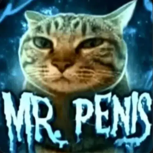 Penis