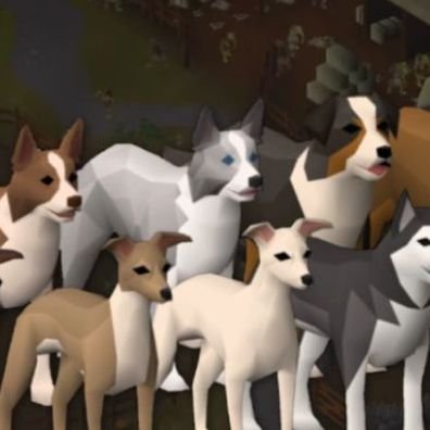 DOGS