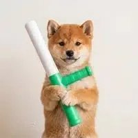 baton