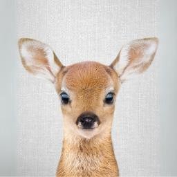 buck