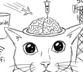 psyopcat