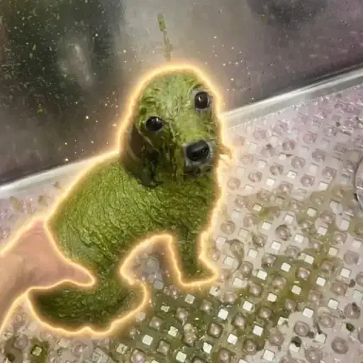 メイ