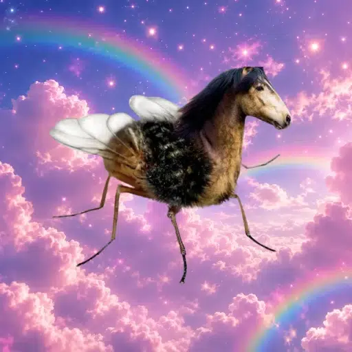Horsefly