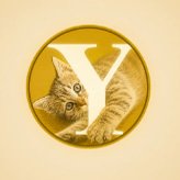 YOMOGI — Yomogicoin Solana token traded by KOLs