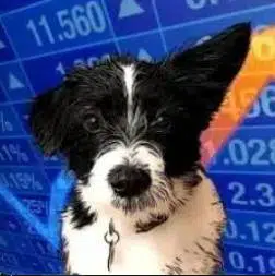 Penny
