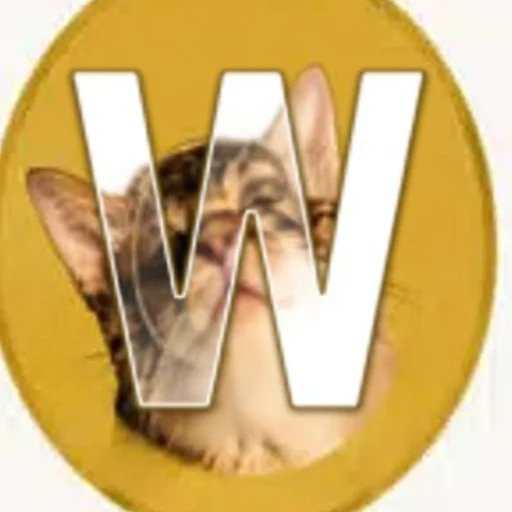 WAN
