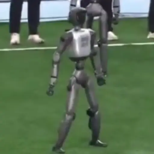 BOTNALDO