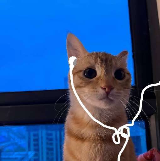 听歌小猫
