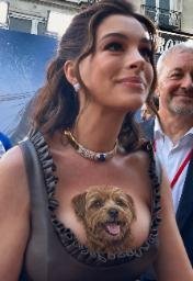 TITDOG