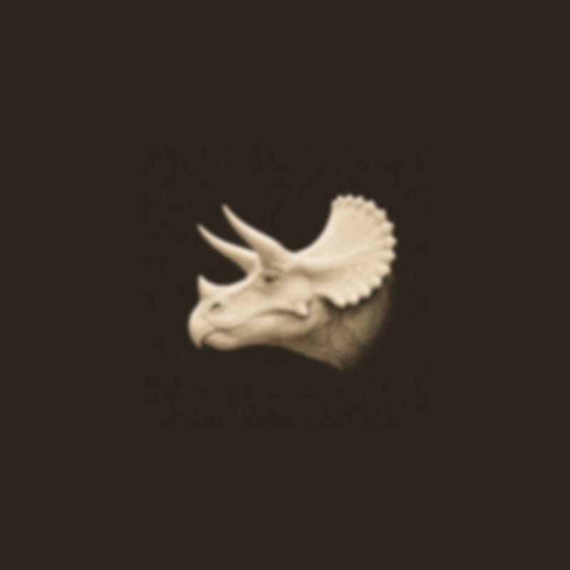 RAWR logo