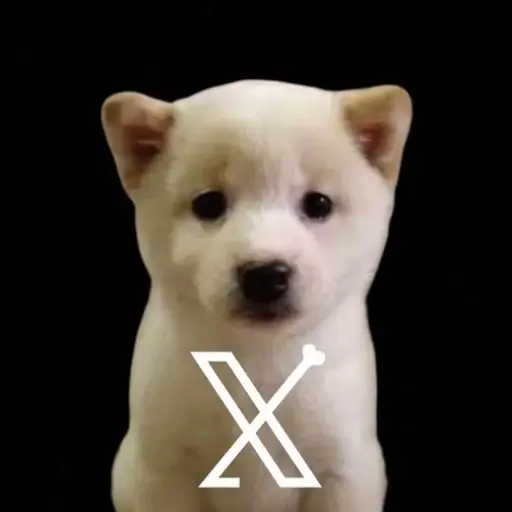 X Dog