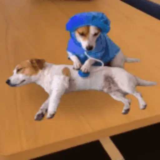 DOGTOR logo
