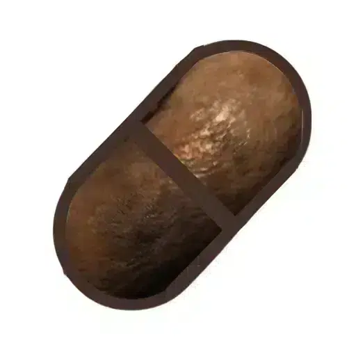 Crapsule