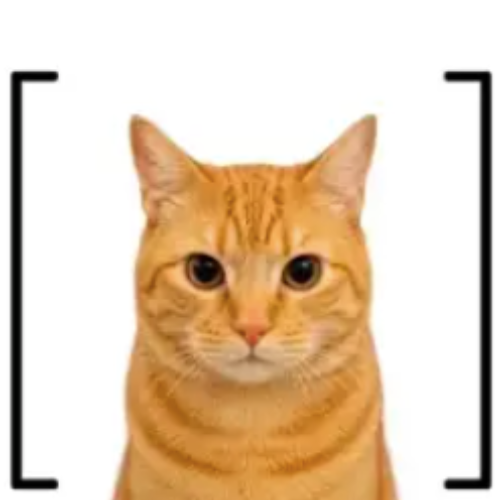 [CAT] logo