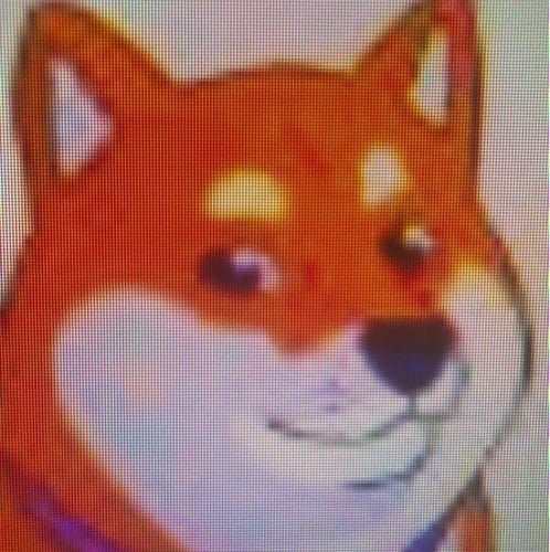COININU