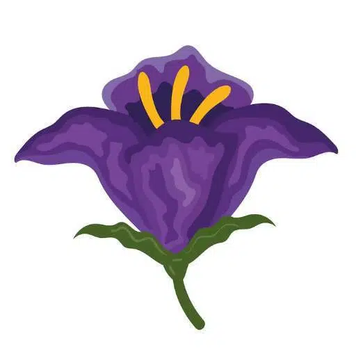 $Nightshade token logo