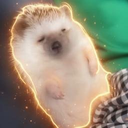 Tsun