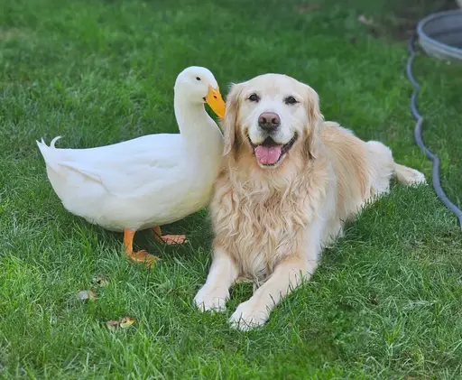 Friendship