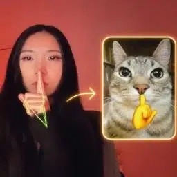 catcam