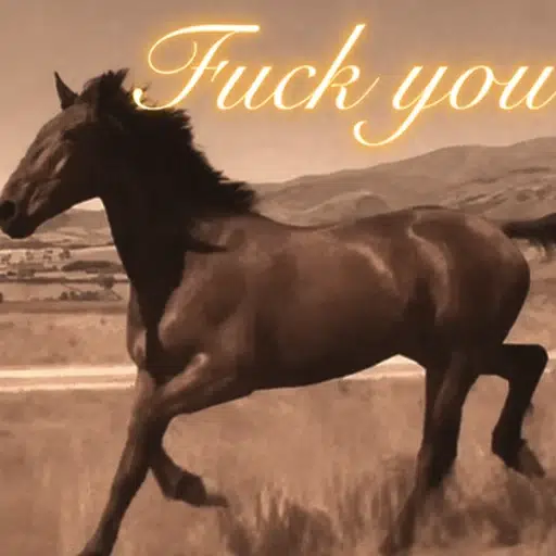 fuck you