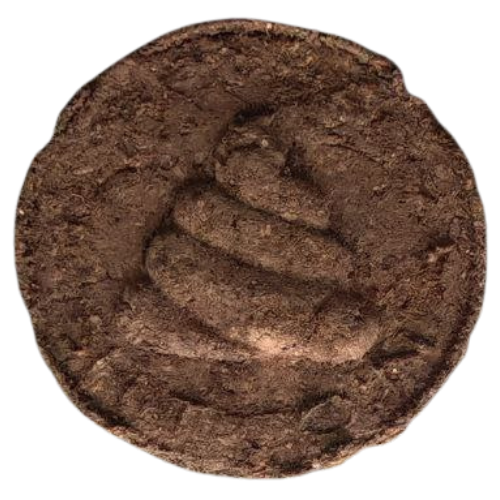 SHITCOIN