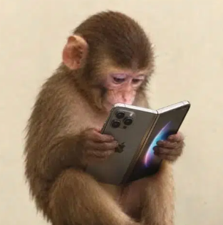 ifone