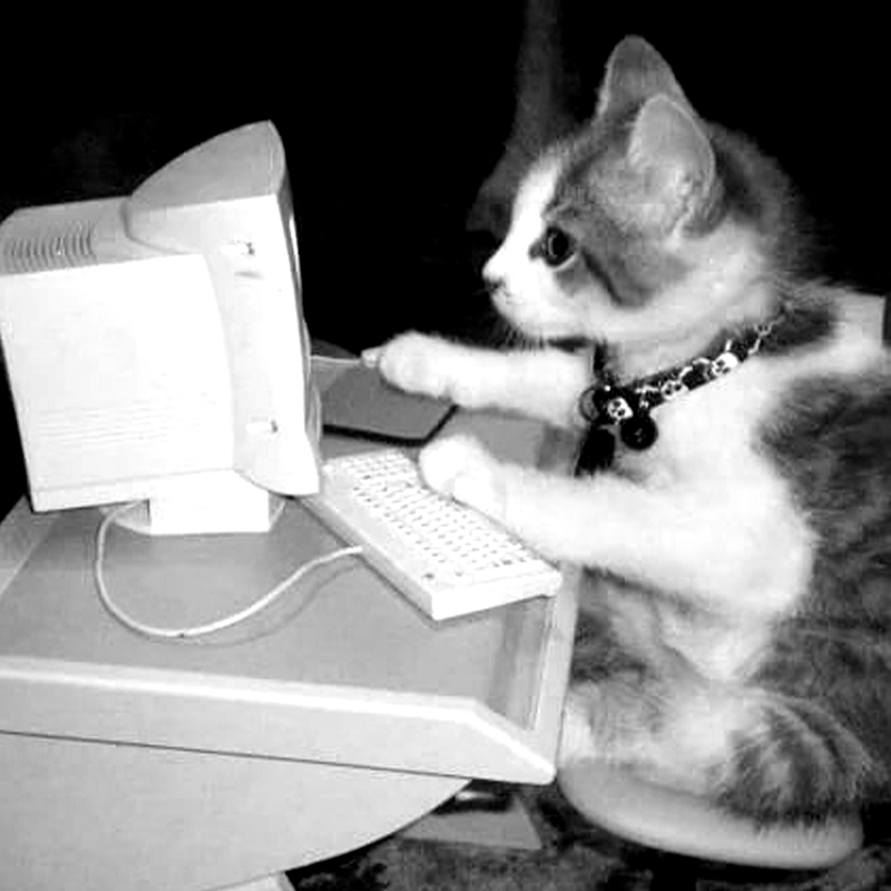 MEOWERS