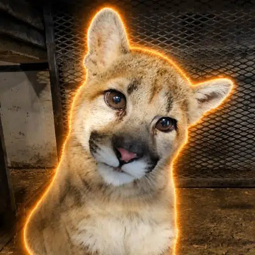 Solana