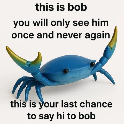Bob