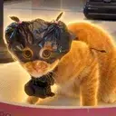 BAGCAT