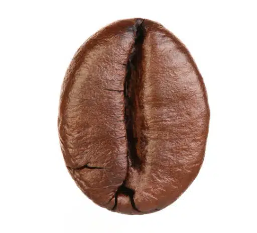 Bean
